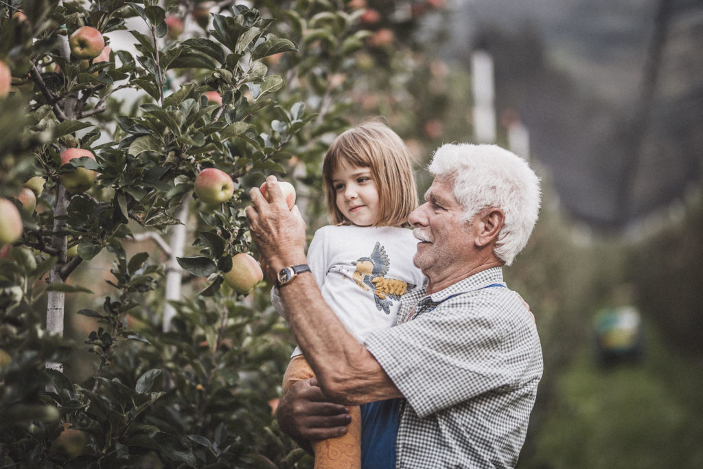 Die bäuerlichen Familien als das Herz des Obstbaus - projekt ...